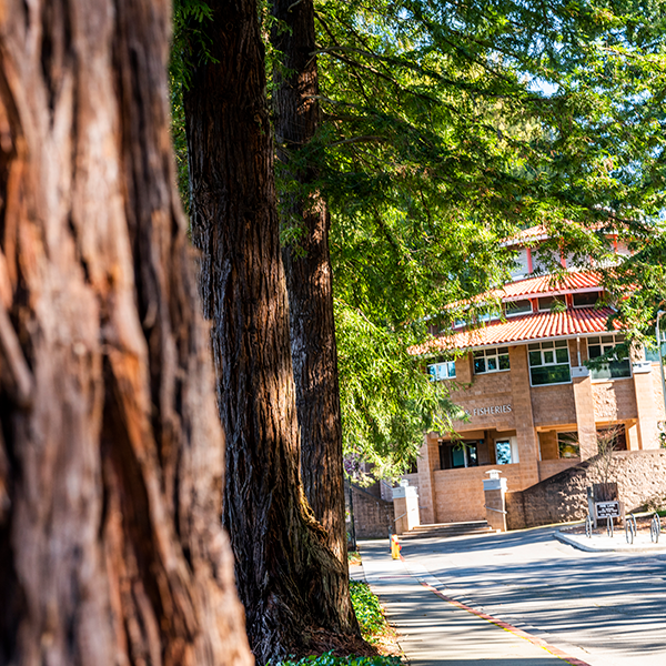 charitable remainder trust